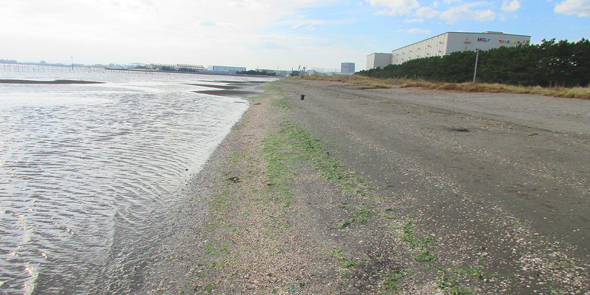 三番瀬海浜公園の海岸